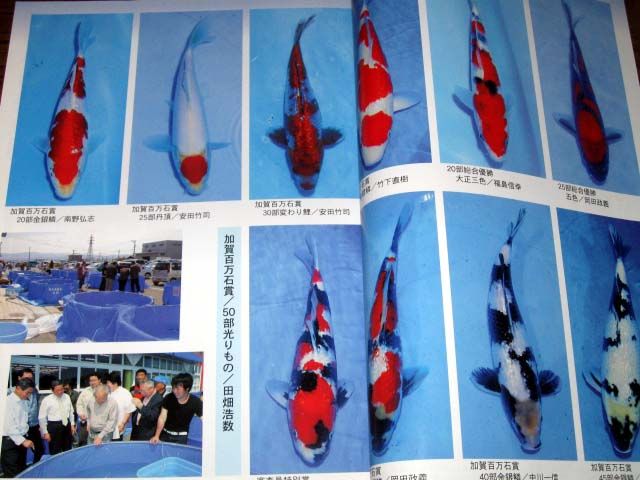 Fish Book Japanese Koi Display and Catalogue 0612  