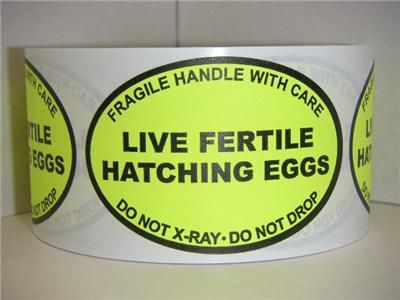 HATCHING EGGS FRAGILE DO NOT XRAY Stickers Labels  