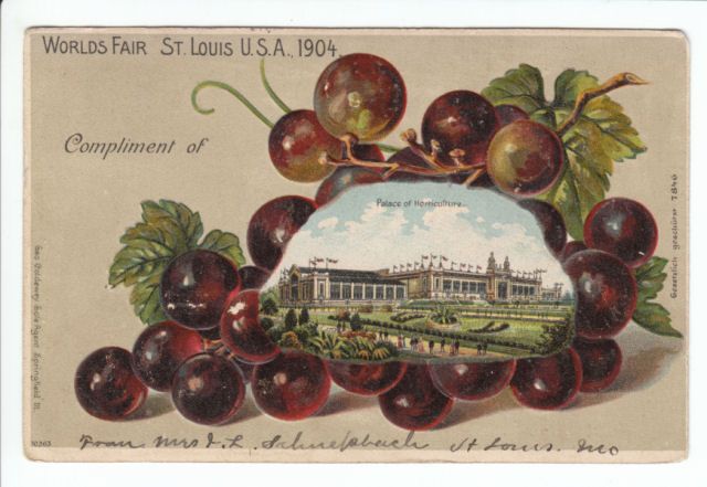 St Louis Expo Grape Border Horticulture Bldg Postcard  