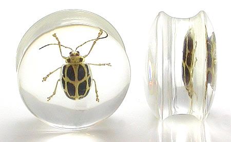 Cool Looking Bug inside an acrylic Plug  Price Per 1  