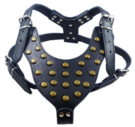 Studs Leather Dog Harness Rottweiler Amstaff 25 33  