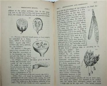   & Physiological Botany, Henslow, 1836, Darwins mentor.  