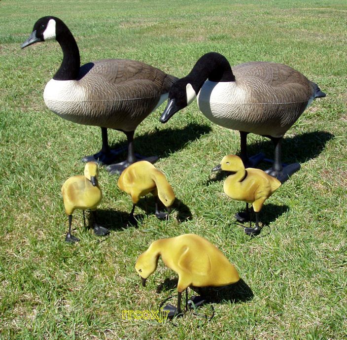 BIGFOOT BIG FOOT CANADA GOOSE DECOYS YARD LAWN DECOR ORNAMENT+4 