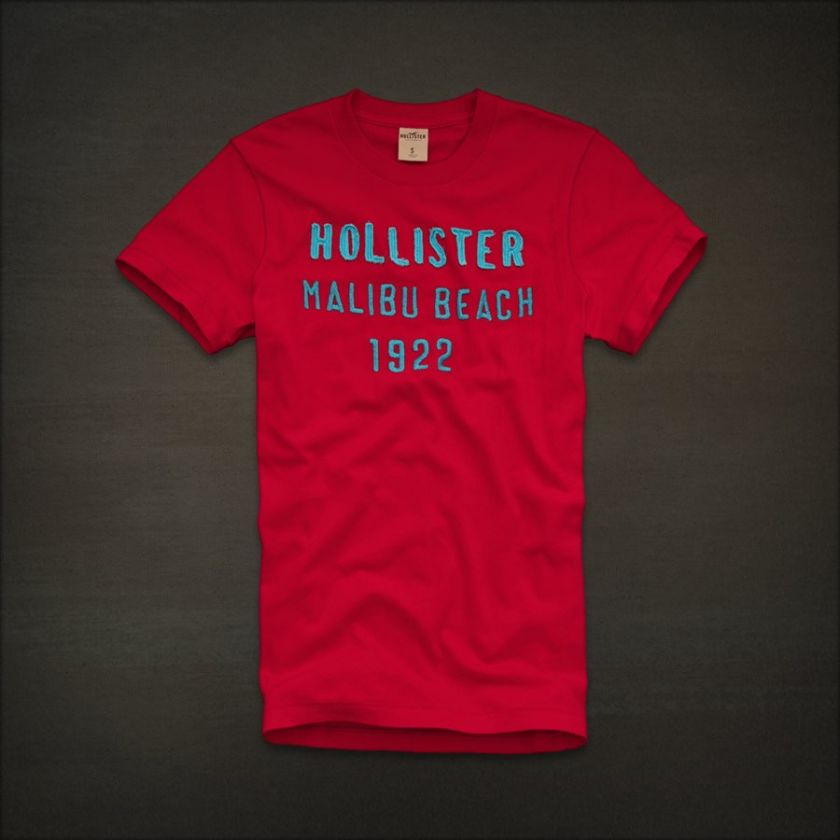 HOLLISTER MENS 2011 T SHIRTS ALL SIZES NWT  