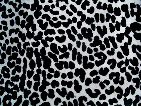 LEOPARD Print/Printed COWHIDE SKIN Rug COW HIDE CHEETAH DC0617  