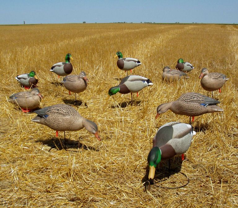 AVERY GREENHEAD GEAR FB MALLARD HARVESTER DUCK DECOYS 700905710072 