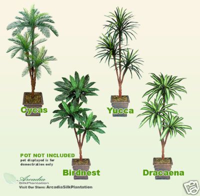 Artificial Palm Tree 6 Yucca Cycas BirdNest Dracaena  