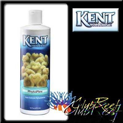 PhytoPlex Phytoplankton Reef Food Kent Marine 16oz  