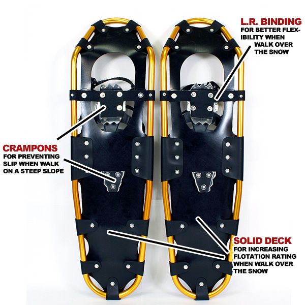   34 Gold 29 Blue MTN Snowshoes + Free Nordic Pole & Tote Bag  